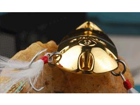 巨帝 全息蝉2代 20克