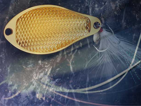 巨帝 鱼纹贝 2克