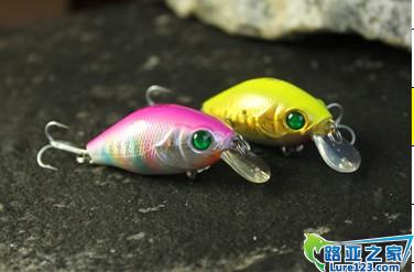 拓钓 迅雷 淡水小胖子