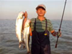 又是周末10月13日，毒、毒、毒