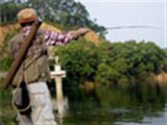 飞蝇、摄影和随笔（四）——寒山