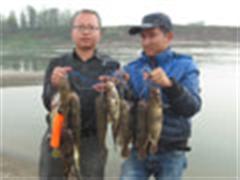 荆州路亚第四十九章—青青小河、暴钓桂鱼