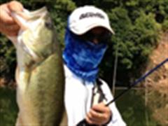 瓷都路亚之40度的坚持~！！