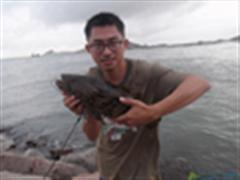 8月17日 桂山根钓石斑团