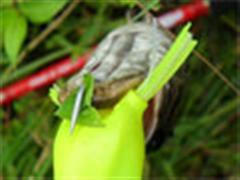 每天2小时 每天都在路上