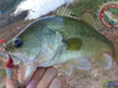 中秋与友软调戏奶鲈