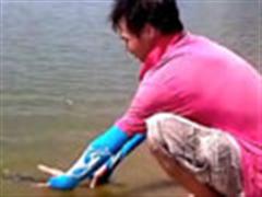 中秋前后的疯狂——放流65厘米长翘嘴