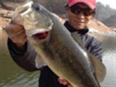 史上最强鲈鱼贺岁版