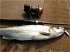 巴蜀路亚----白龙湖探钓