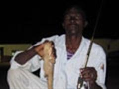 马上上鱼，新年好开端--------我的非洲之路