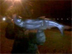 梦湖美十四（路友相会，喜中大刀）