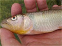 美妙的周末，大水面、小水面，亮水、草洞齐上啊