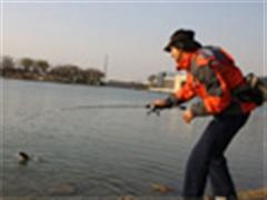 寻鱼（更新至16章）