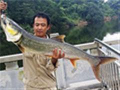 有鳡而发：路亚鳜鱼