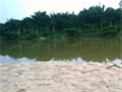 探钓流溪河---倒钓