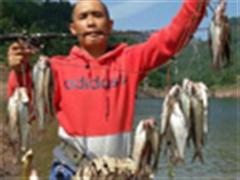 三 峡 库 区 路 亚 轶 事