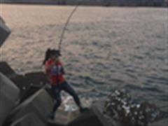 最后的战役——斗牛/戏斑