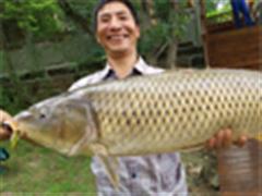 烈日下傲骨大小通杀，“翼”擒巨鲤