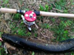 雷强黑鱼进阶教程 钓点寻找与分析