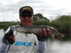 一路向北 圆梦狗鱼