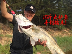 查看 品钓   甲壳虫 迷你控鱼器的相关图片