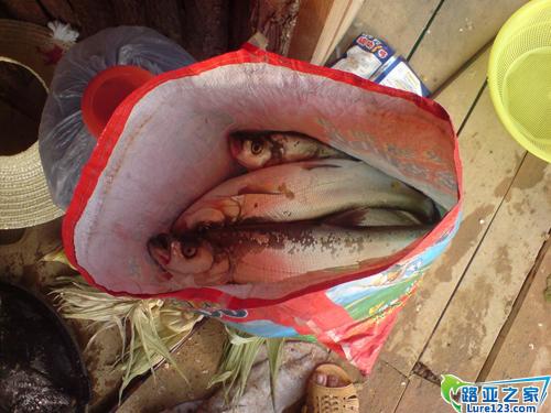 第一场战斗的俘虏