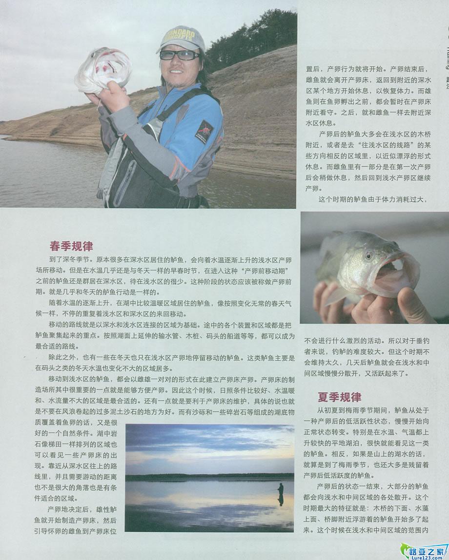 鲈鱼春夏季活动规律