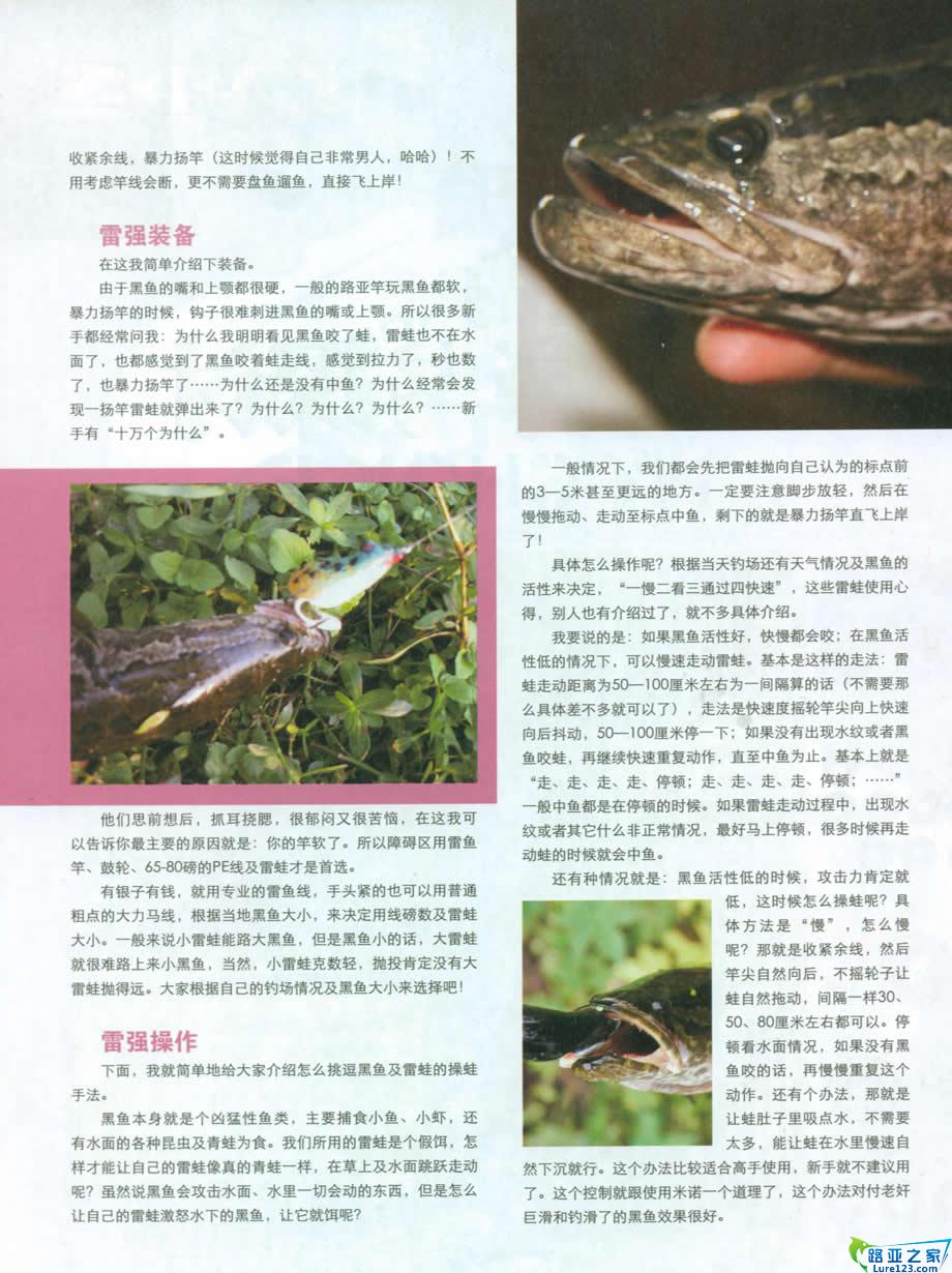 雷强装备及操作