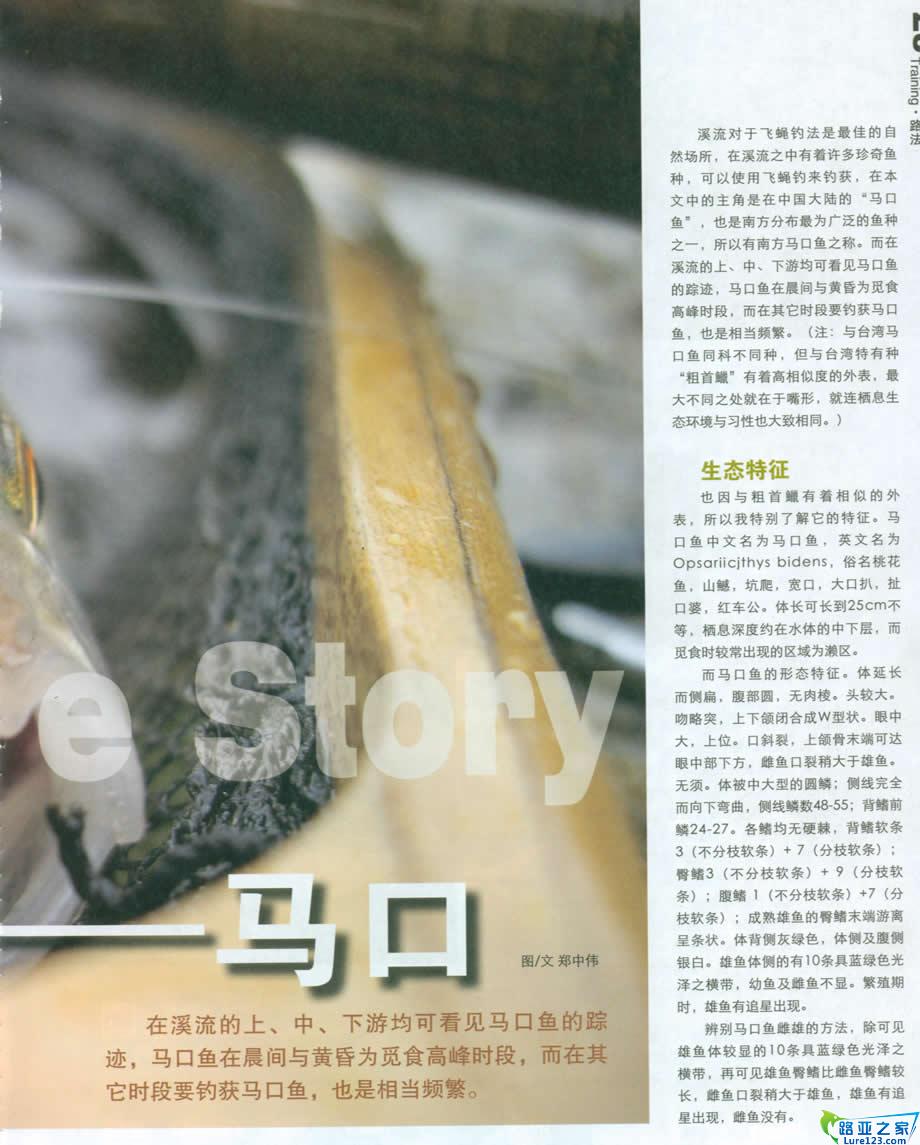 马口的生态习性