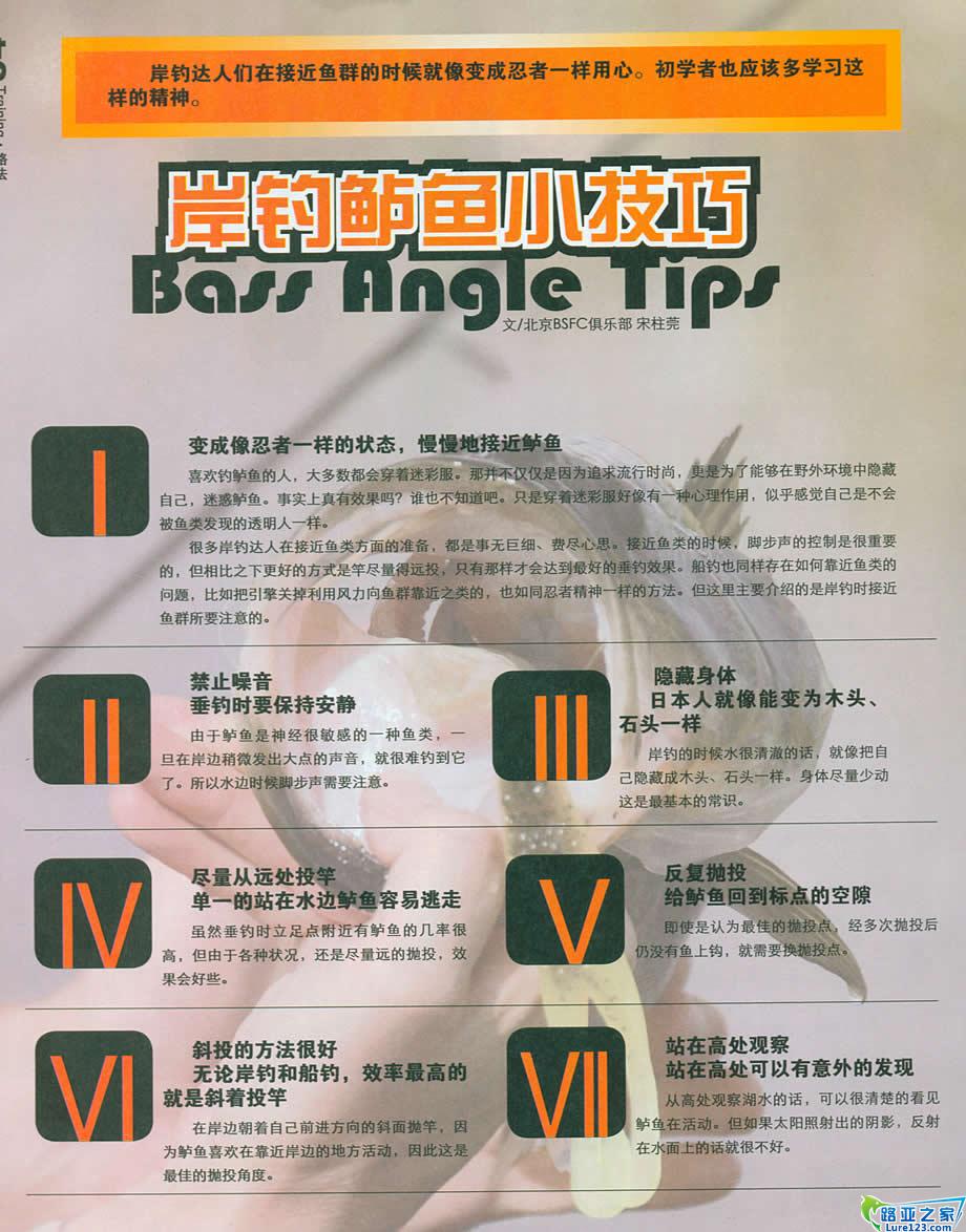 在岸边垂钓鲈鱼注意须知