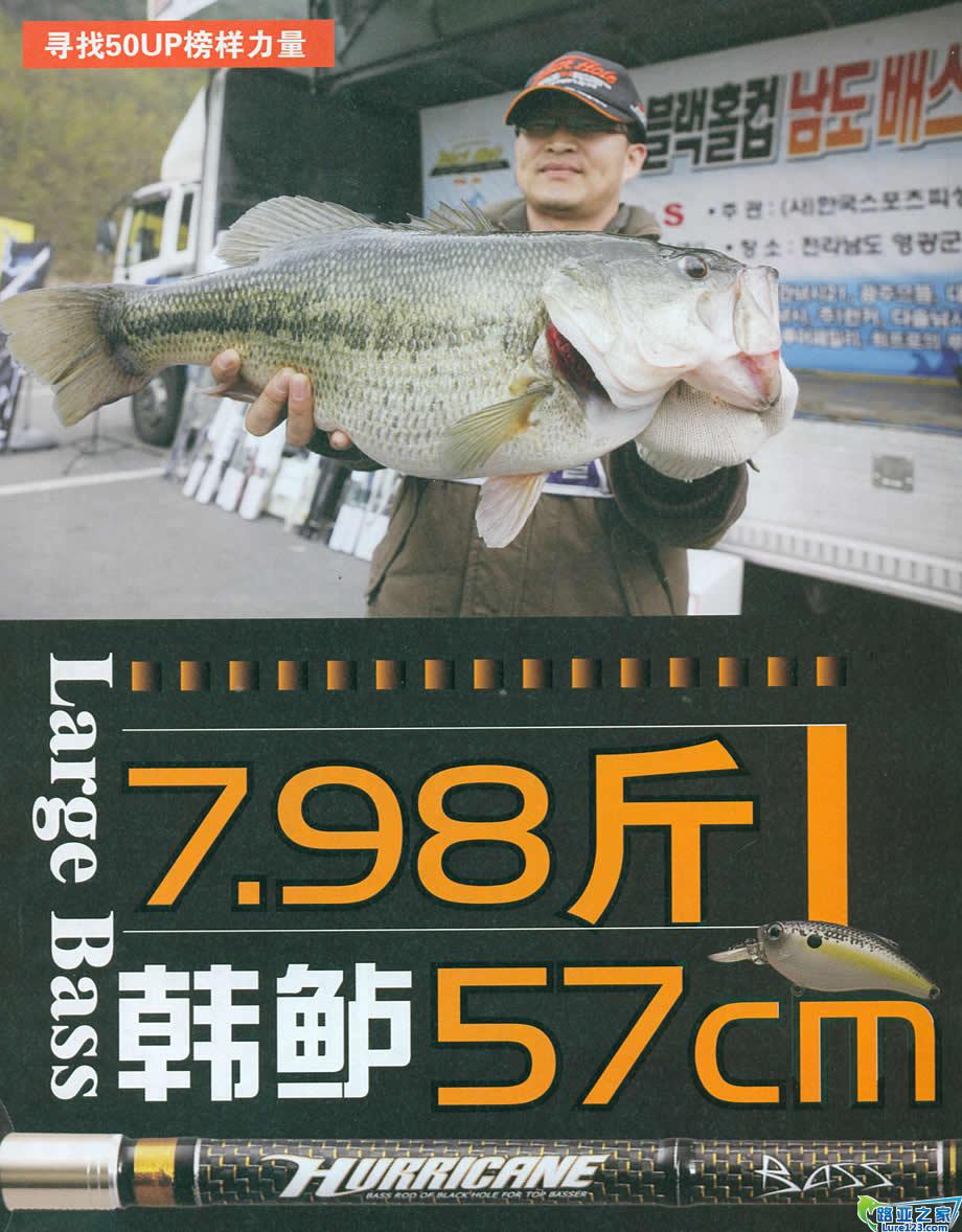 57CM大鲈出水