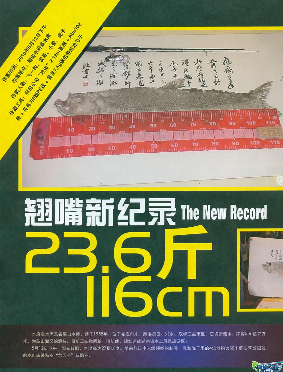 破纪录翘嘴制作鱼拓