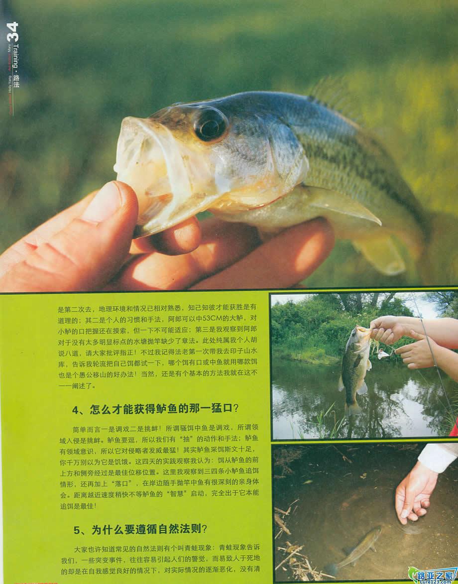 如何才能获得鲈鱼那一口