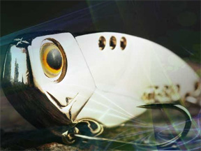 巨帝 霸道一代 A型-20克