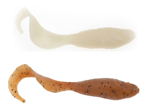 贝克力  卷尾小鱼