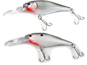 贝克力 Frenzy5cm摇滚小米诺