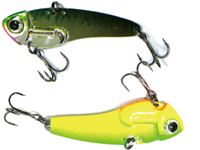 贝克力 VIB 大眼鳊鱼