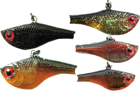 贝克力 威力软体VIB 大眼鳊鱼