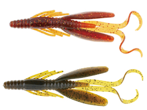 贝克力 长尾蟋蟀