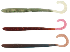 贝克力  带盐卷尾长形虫