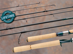 DAIWA Team Diawa TDCEL 661WJ