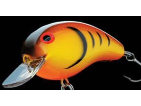 DAIWA Peanut PN5SF01