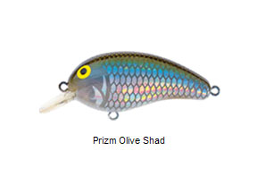 DAIWA Peanut PN5SF04