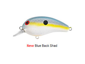 DAIWA Peanut PN5SF41