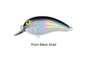 DAIWA Peanut PN5MF02