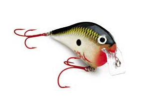 Rapala DT Flat DTFATSS