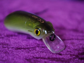 路亚发烧友 CC-60 1号色