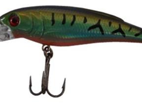 国王  长舌板米诺 5207