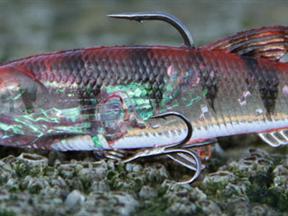 查看 优尔酷   BQY-8016的相关图片