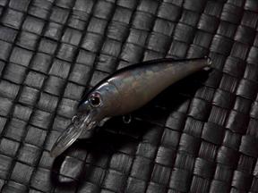 FISH.IMAGE 侵略 050